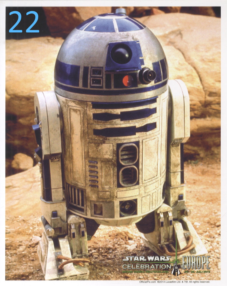 22 - R2-D2 Tatooine Celebration Blank 8"x10" Photo