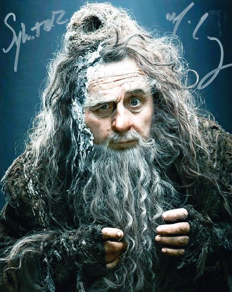 SYLVESTER McCOY as Radagast The Brown - The Hobbit