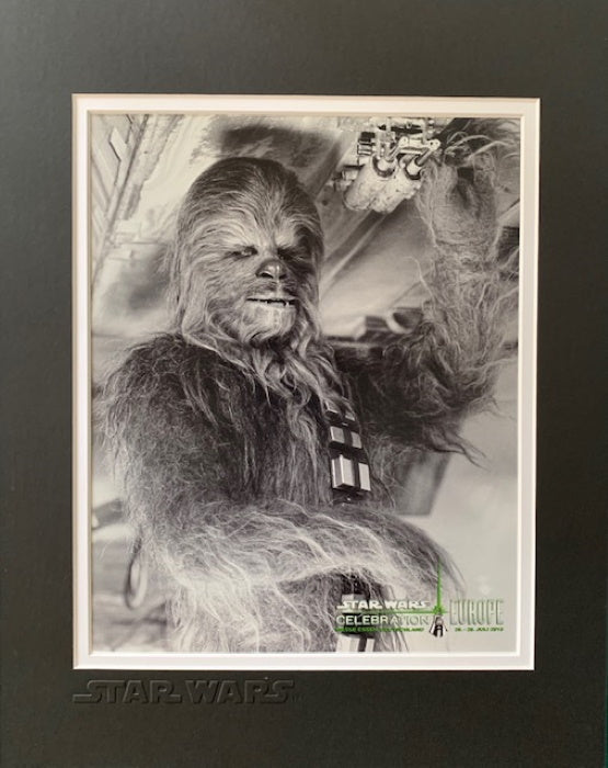 STAR WARS CHEWBACCA MOUNTED PHOTO - Official Pix Celebration Europe 2013