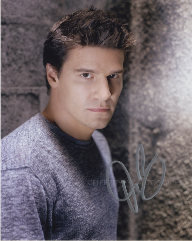 DAVID BOREANAZ as Angel - Angel / Buffy