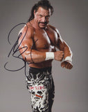 AL SNOW - WWF / TNA Wrestler