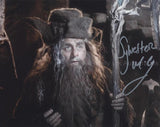 SYLVESTER McCOY as Radagast The Brown - The Hobbit