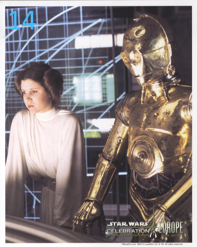14 - Leia & C-3PO Celebration Blank 8"x10" Photo