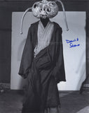 DAVID STONE as Wioslea - Star Wars