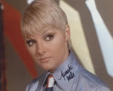 ANNEKE WILLS as Judy / Pussy Cat - The Avengers (TV)