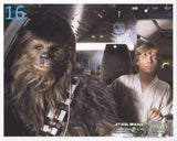 16 - Luke & Chewbacca Celebration Blank 8"x10" Photo