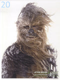 20 - Chewbacca Hoth Celebration Blank 8"x10" Photo