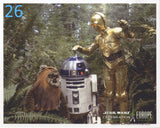 26 - R2-D2, C-3PO & Wicket Celebration Blank 8"x10" Photo