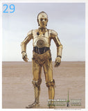29 - C-3PO Tatooine Celebration Blank 8"x10" Photo