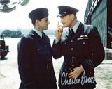 CHARLES DANCE as Wing Commander Bentley - Dark Blue World