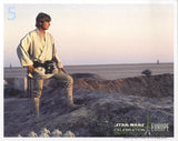 05 - Luke Tatooine Celebration Blank 8"x10" Photo