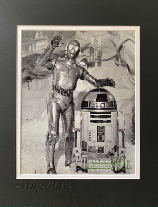STAR WARS R2-D2 &amp; C-3PO MOUNTED PHOTO - Official Pix Celebration Europe 2013